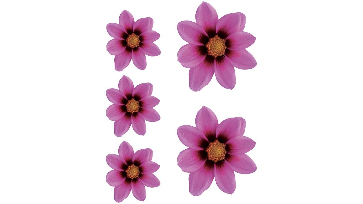 Autocollant+Flower+Garden+-+rose+-+2x+16x15cm+%2B+3x+8%2C5x8cm